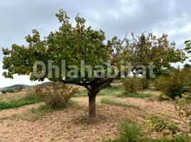 Rustic land, 10000 m²