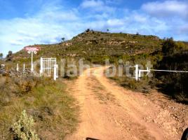 Rustic land, 25000 m², Camino M3P8+62, 0