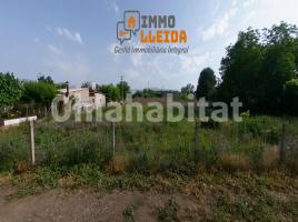 Rustic land, 3792 m², Calle Campllong