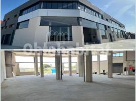 Nau industrial, 5800 m², Zona