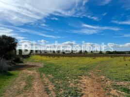 Rustic land, 337.32 m², Manacor Centro