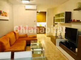 Pis, 70 m², prop de bus i tren, seminou