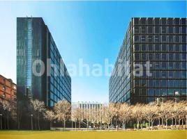 Alquiler oficina, 243 m²