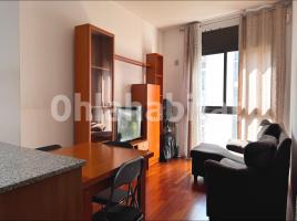 Pis, 68 m², prop de bus i tren, seminou