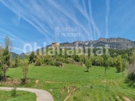  (masia), 800 m², Zona