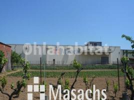 , 16500 m², Zona
