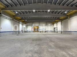 For rent industrial, 4611 m², Zona