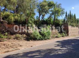 , 600 m², Avenida de la Senyera, 88