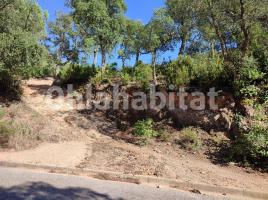 , 600 m², Avenida de la Senyera, 88