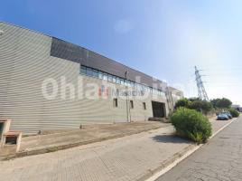 For rent industrial, 4019 m², Zona