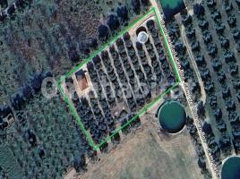 Suelo rústico, 3410 m², Partida COLL D'EN BOCH (P24 P3)