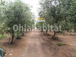 Rustic land, 30000 m², Zona