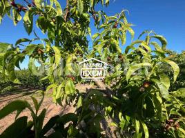 Rustic land, 111000 m²