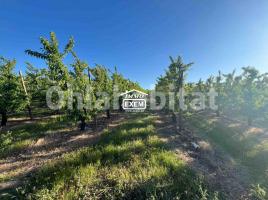 Rustic land, 111000 m²