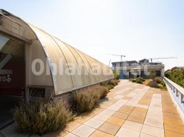 Lloguer oficina, 200 m², seminou, Calle d'Àvila