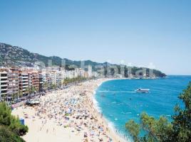 Otro, 360 m², near bus and train, Paseo agusti font